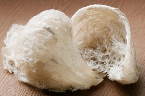 Bao lâu thì ăn yến 1 lần