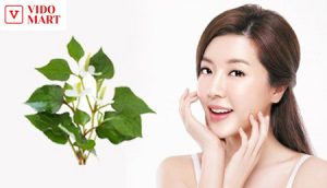 Các công dụng của rau diếp cá trong làm đẹp da