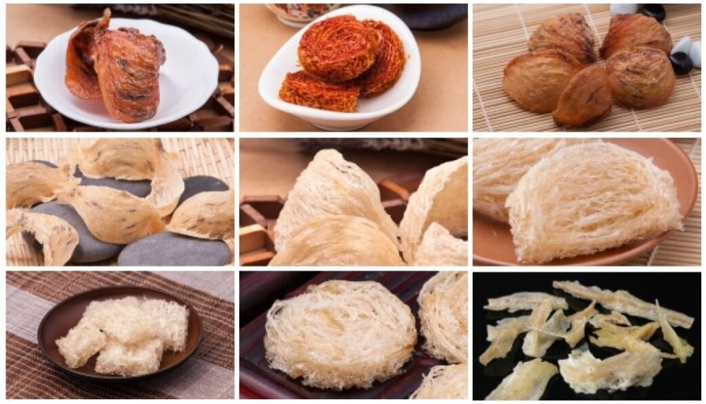 có bao nhiêu loại yến sào