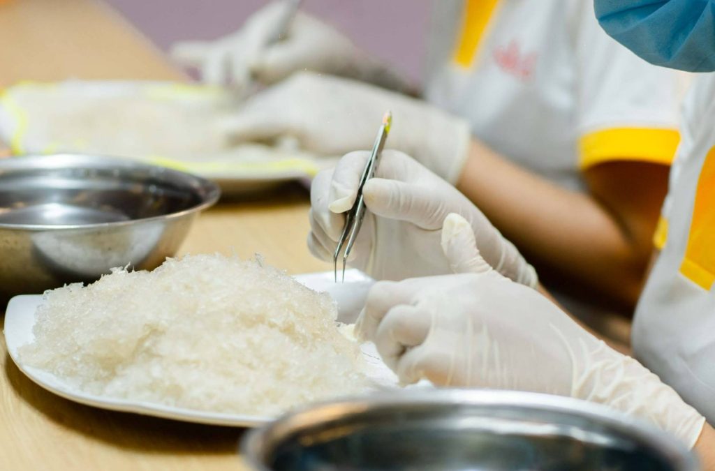 Bài 14: Khi nhặt lông yến phải ngâm nước, vậy có ảnh hưởng đến chất lượng yến không?