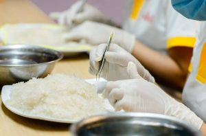 Bài 14: Khi nhặt lông yến phải ngâm nước, vậy có ảnh hưởng đến chất lượng yến không?