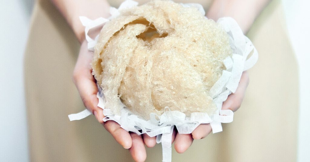 Bạn có thể phân biết yến giả dựa vào màu sắc, mùi và cấu trúc các sợi yến